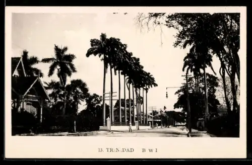 AK Trinidad, Palmenallee