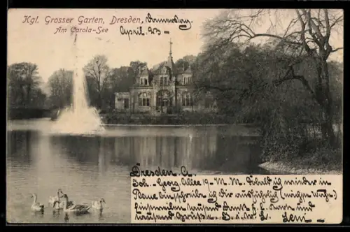 AK Dresden, Kgl. Grosser Garten, Am Carola-See