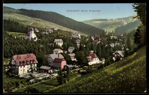 AK Kipsdorf /Sächs. Erzgebirge, Ortsansicht aus der Vogelschau