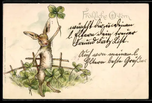 AK Osterhase auf einem Klee-Feld