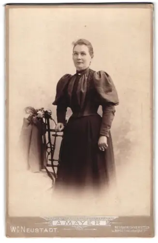 Fotografie A. Mayer, Wr. Neustadt, Neunkirchnerstrasse 22, Dame in vornehmer Robe