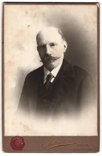 Fotografie Anton Willert, Wien, Schallerg 44, Porträt eines Herrn im Anzug