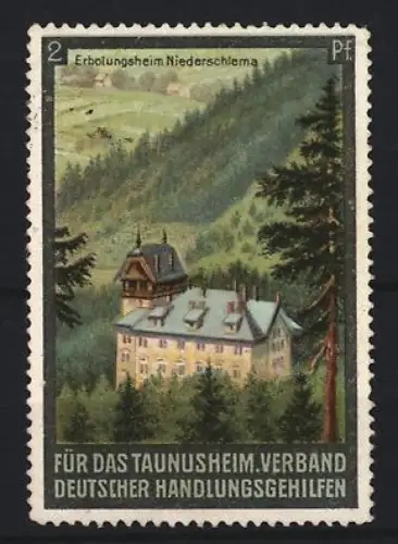 Reklamemarke Niederschlema, Verband deutscher Handlungsgehilfen für das Taunusheim, Erholungsheim