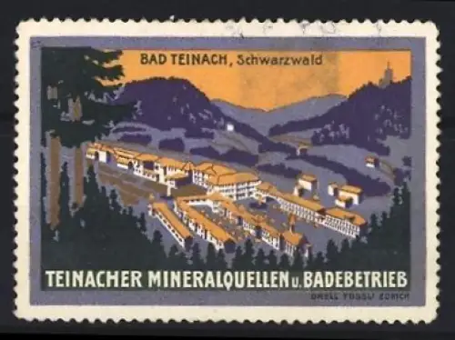 Reklamemarke Bad Teinach, Mineralquellen u. Badebetrieb, Landschaftsansicht