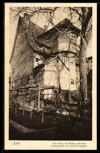 AK Jena, Altes Haus mit Platane zwischen Löbdergraben und Unterlauengasse