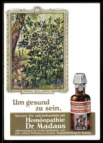 AK Reklame für homöopathisches Medikament Belladonna D 4 von Dr. Madaus & Co., Atropa Belladonna