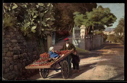 AK Photochromie NR. 2643: San Remo, Orangen-Händler mit seinem Karren auf einer Strasse