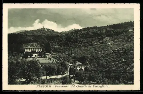 AK Fiesole, Panorama del Castello di Vincigliata
