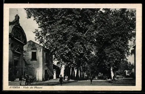 AK Aversa, Viale dei Platani
