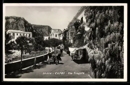 AK Capri, Via Tragara con alberi fioriti e gente che passeggia