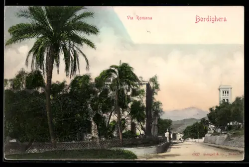 AK Bordighera, Via Romana con palme e vegetazione rigogliosa