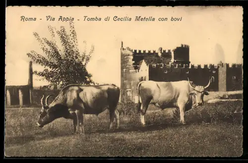 AK Roma, Via Appia, Tomba di Cecilia Metella con bovi