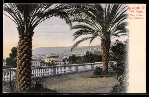 AK San Remo, Vista tra le palme sul lungomare