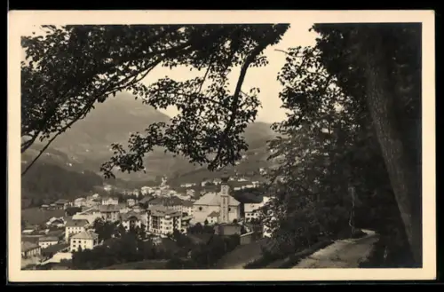 AK Ortisei in Gardena, Vista panoramica del paese con alberi in primo piano