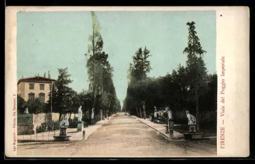 AK Firenze, Viale del Poggio Imperiale