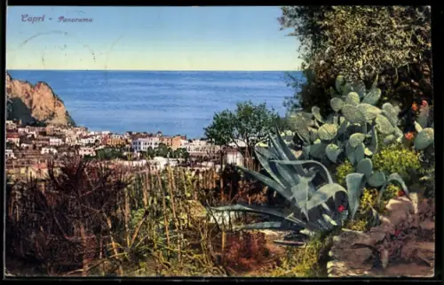 AK Capri, Panorama con vista sulla città e sul mare con piante di cactus in primo piano