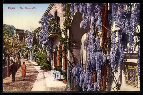 AK Capri, Via Camerelle con glicine in fiore