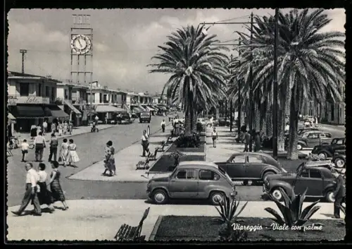 AK Viareggio, Viale con palme