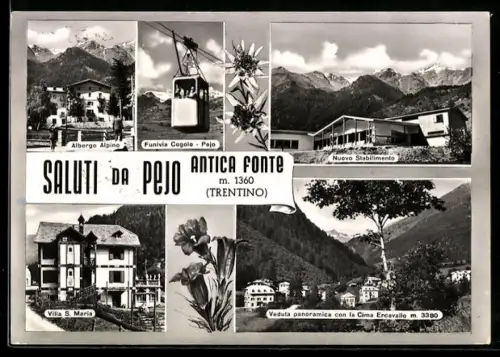 AK Pejo, Saluti con vedute multiple e funivia Cogolo