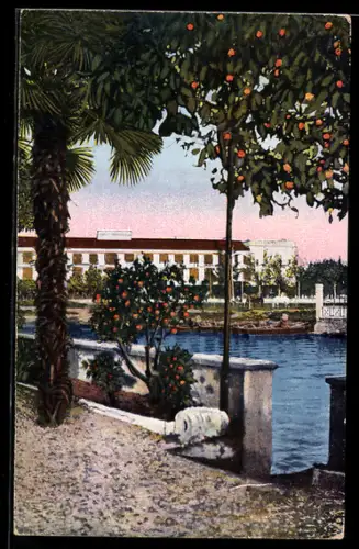 AK Sirmione / Lago di Garda, Bagni, Vista del lungolago con agrumi e palme
