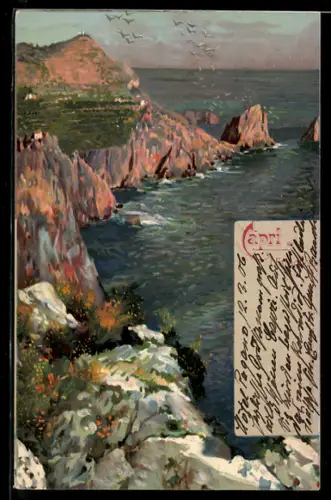 Künstler-AK Capri, Veduta delle scogliere e del mare con uccelli in volo