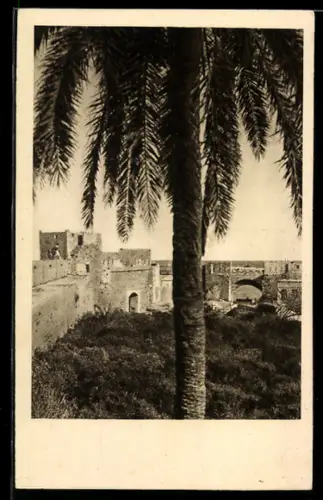 AK Rodi, Porta dell`Arsenale con palma in primo piano