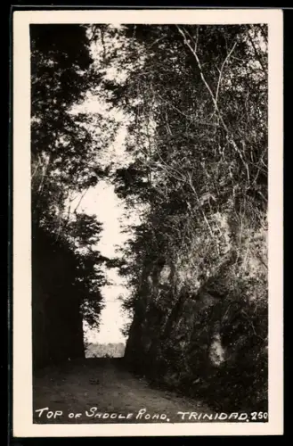 AK Trinidad, Top of Saddle Road