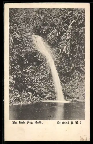 AK Diego Martin, Bleu Basin