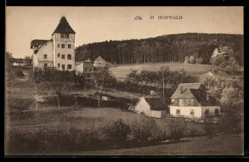 AK Hohwald, Ortsansicht am Waldrand