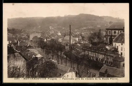 AK Moyenmoutier, Panorama pris du Chemin de la Haute Pierre