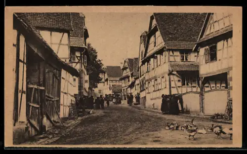 AK Engwiller, Strassenpartie mit Fachwerkhäusern und Gänsen