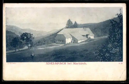 AK Adelspach bei Markirch, Hofanlage in hügeliger Landschaft