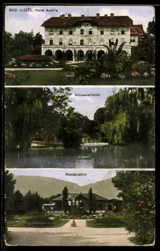 AK Bad Ilidze, Hotel Austria, Schwanenteich, Restaurant