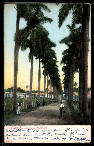 AK Cuba, Guaidanaya Plazorra
