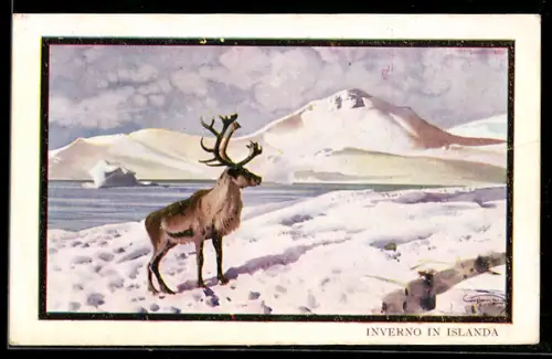 AK Islanda, Inverno in Islanda