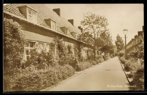 AK Rotterdam, Meiland