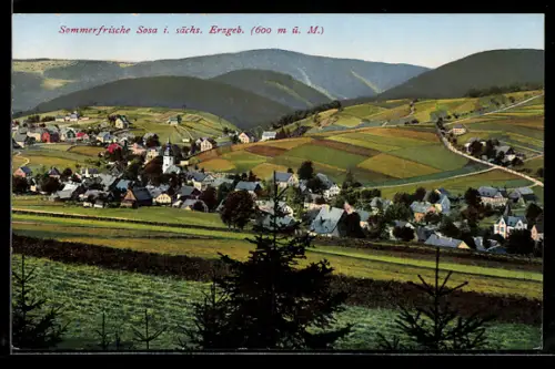 AK Sosa i. sächs. Erzgeb., Ortsansicht, Berge, Felder