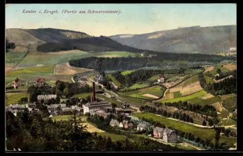AK Lauter i. Erzgeb., Partie am Schwarzwasser