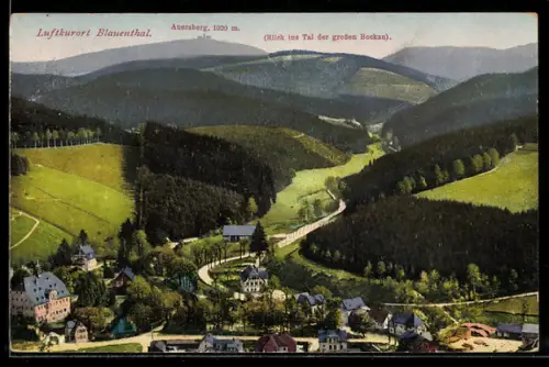 AK Blauenthal, Auerberg, Blick ins Tal der grossen Bockau