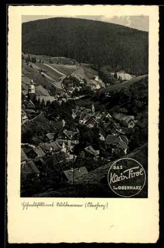 AK Wildemann /Oberharz, Ortsansicht aus der Vogelschau