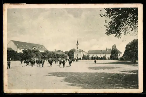 AK Kladruby nad Labem, namesti