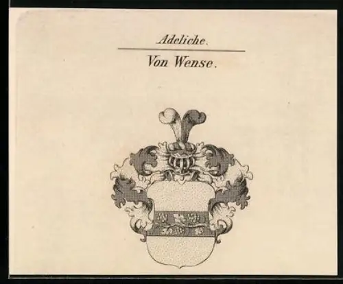Exlibris Von Wense, Wappen mit Helm