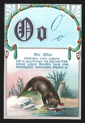 Sammelbild Rüsselsheim a. Main, Friedrich Engelhardt, Aecht Engelhardt Kaffeezusatz, Otter mit Beute