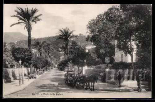 AK Nervi, Viale delle Palme