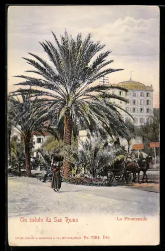 AK San Remo, La Promenade con palme e carrozza