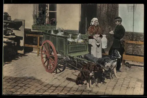 AK Belgique, Laitière Flamande (contravention), Hundegespann
