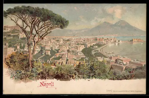 AK Napoli, Teilansicht mit Blick zum Vesuv
