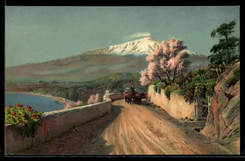 AK Taormina, Ochsengespann, Strada col Etna