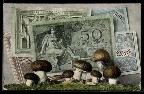 AK Reichskassenscheine der Reichsschuldenverwaltung, Geld, Steinpilze