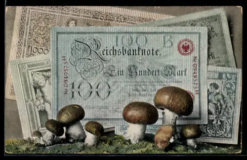AK Einhundert Reichsmark, Banknoten und Pilze